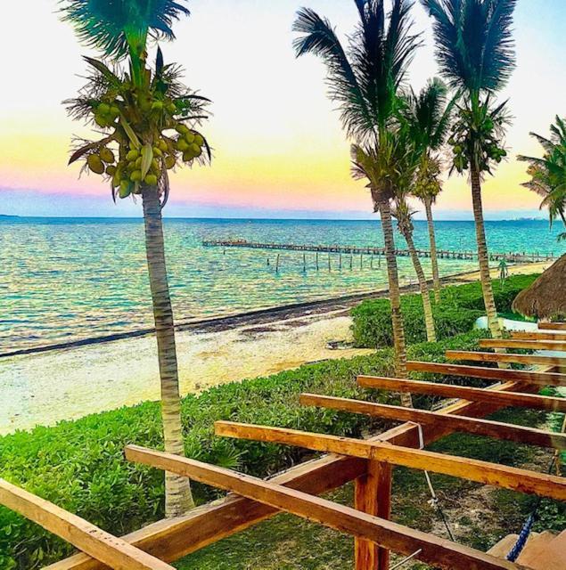 Punta Me Beach Suites קנקון מראה חיצוני תמונה