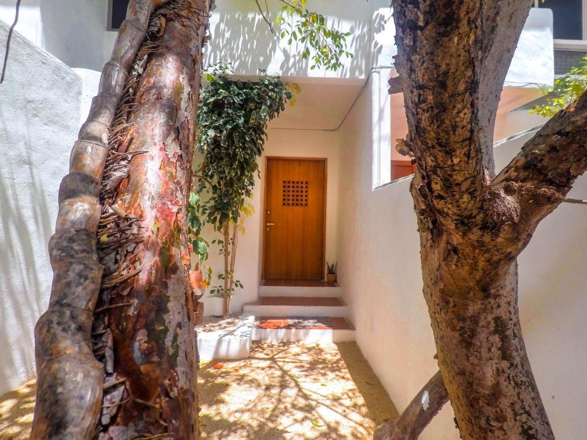 Punta Me Beach Suites קנקון מראה חיצוני תמונה