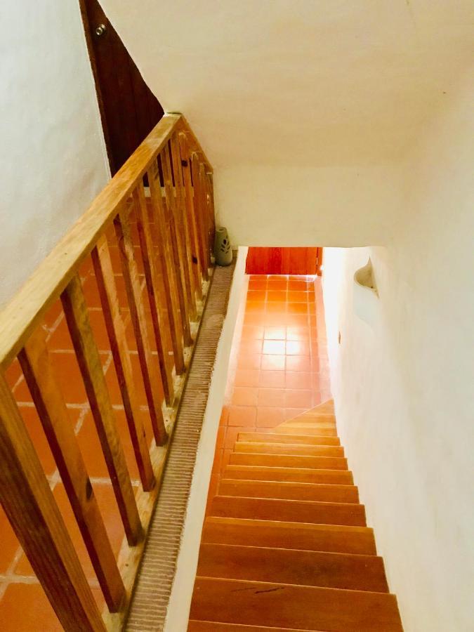 Punta Me Beach Suites קנקון מראה חיצוני תמונה