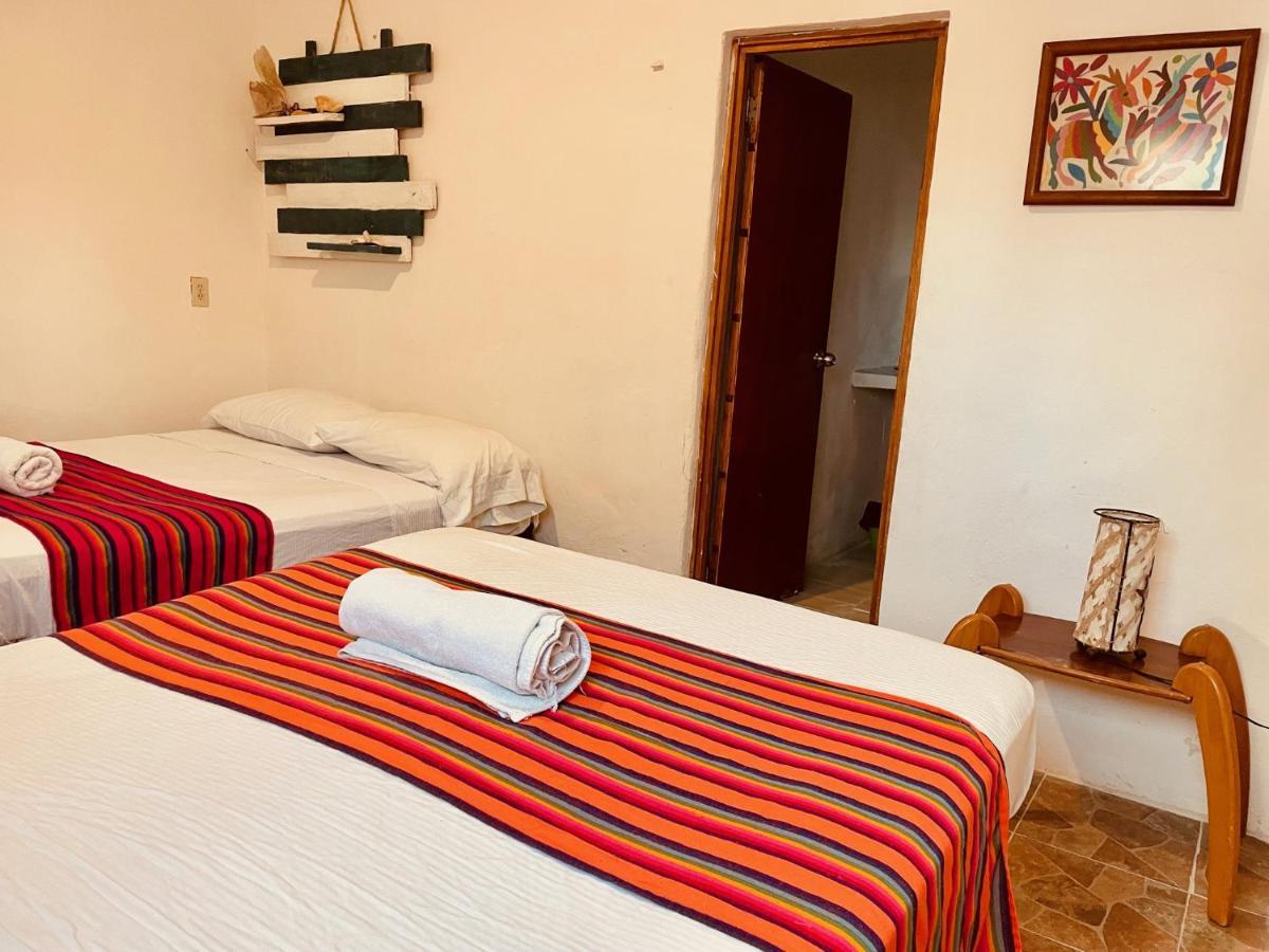 Punta Me Beach Suites קנקון מראה חיצוני תמונה